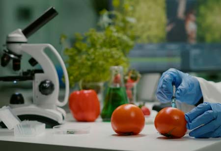 Key Practices for Successful Implementation of Food Safety Monitoring Systems