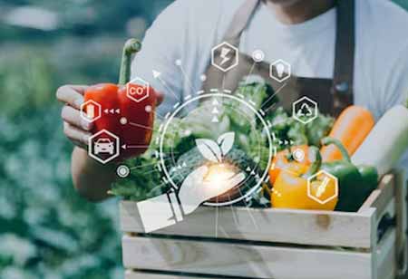 Food Safety and Efficiency: The Essential Convergence for a Sustainable Industry
