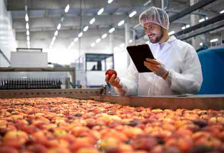 The Growing Importance of Food Processing