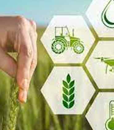 Affordable, Healthy, Scalable: Why 'System C' is the Future of Food and Health