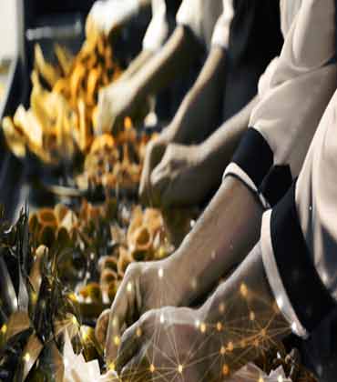 Food Processors to Mitigate the Risks of the Artificial Intelligence Revolution