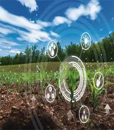 The Role of AI in Precision Livestock Farming 