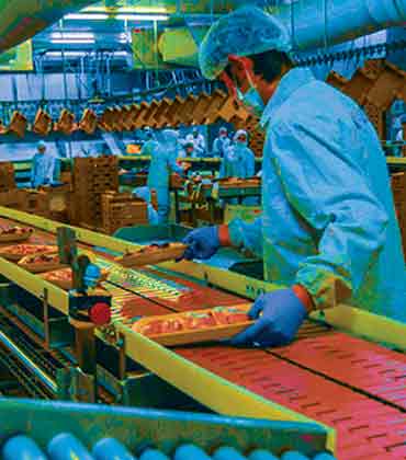 The Exciting Future of the F&B Industry