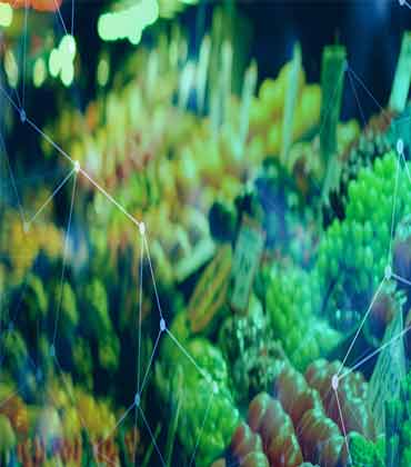Navigating Challenges and Embracing Trends in the Food and Beverages Industry