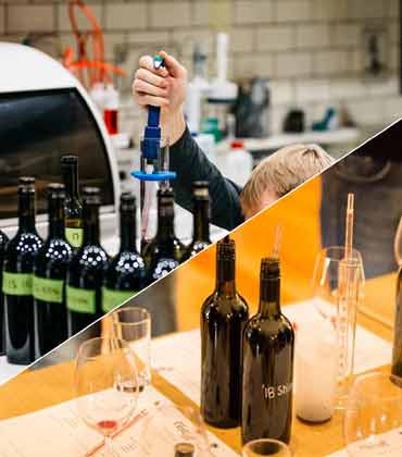 How European Wineries are Blending Tradition with Sustainability
