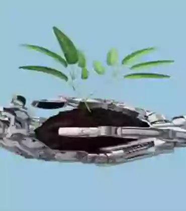 Applications of Artificial Intelligence in the Livestock Sector