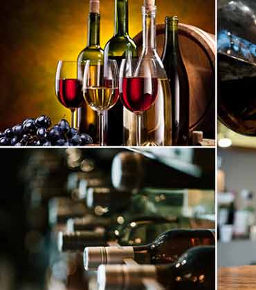 The Rise of Wine Tourism in Europe
