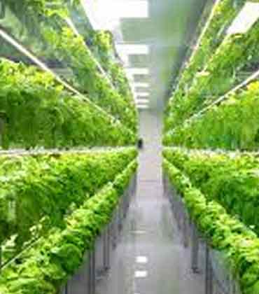A Case for AgFoodTech Outperformance in the Digital Age, Biology Century and the Bioeconomy Era