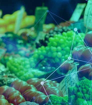 Food and Beverage Marketing Developments to Monitor in Coming Years