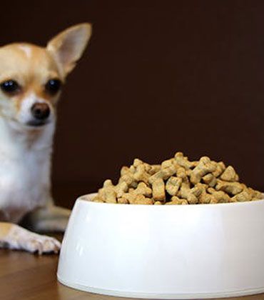 Pet Parents' Expectations Defining the Tendencies in Pet Food 