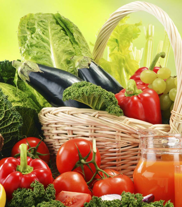 The Importance of an Holistic Approach to Healthy Plant-based Products