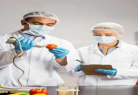 Techniques for Securing Food Processing Safety