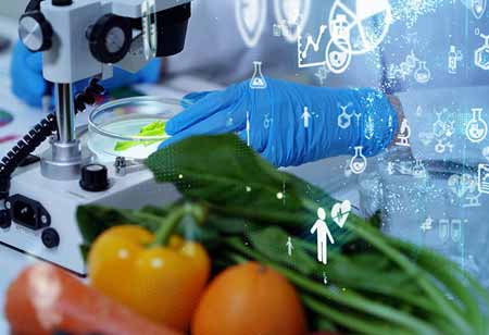 What Does the Future of Poultry Plant Look Like?