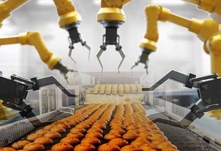 Steps Involved in Primary Meat Processing