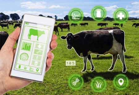 How IoT is Revolutionizing Livestock Health-Promoting Data-Driven Decision-Making