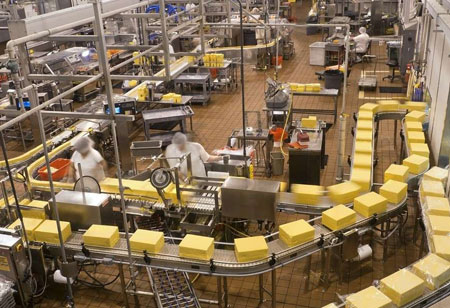 How the Food Industry Leverages Technology to  Improve Food Processing and Packaging  Platform?