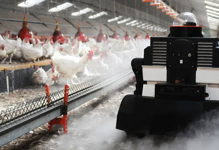 Benefits of AI in the Poultry Sector