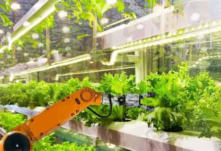 Technologies Shaping the Future of Food Safety