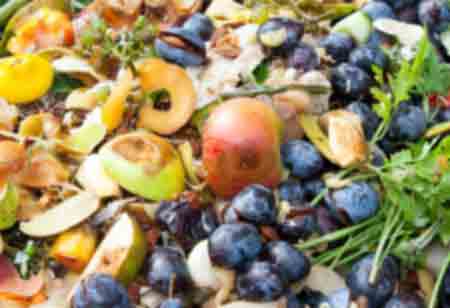 How Supply Chain Management Helps Food Businesses? 