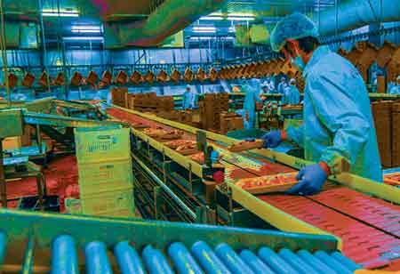 A Look at 2022's Food Technology and Sustainability Predictions
