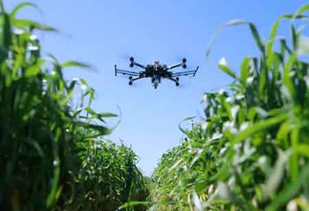 Top Reasons to Employ a Livestock Management Software
