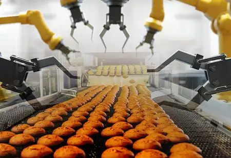 Personalisation and Customisation in APAC Food Processing