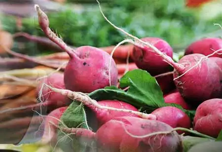 What are the Advantages of Food Processing?