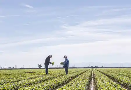 Michael Ciepiela, Director, Food Safety and Quality Assurance, Taylor Farms | Food and Beverage Tech Review