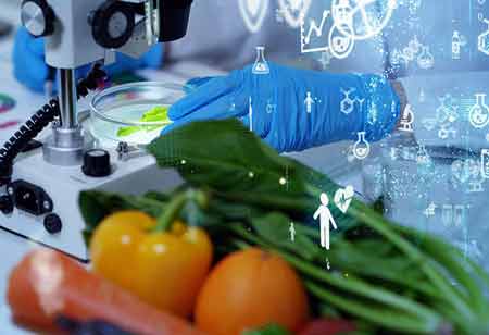 How Cannabis-Based Food Products Can Help People Stay Healthy