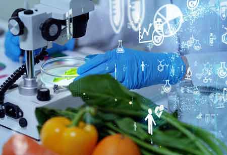 The Basic Principles of Food Service Management