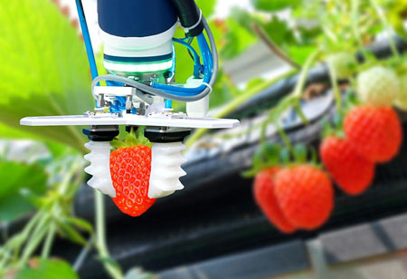 Food and Beverage Industry Embraces Automation