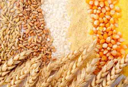 Steps to Follow While Creating a HACCP Plan