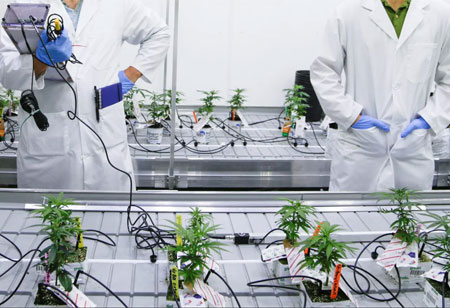 How Innovative Technology is Reshaping the Cannabis Industry