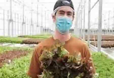 How Hydroponics Can Impact Agriculture