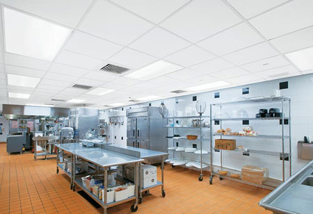 What type of Hygienic Designs must the Food Processor Companies Use