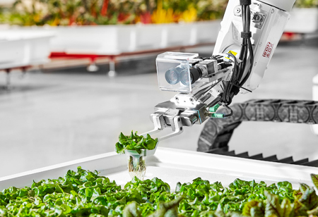 How Is Technology Accelerating the Growth of the Food Industry?