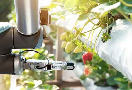 How Technology Tools Can Help Enhance Food Safety