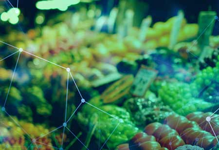 Automation to Play Key Role in Food Businesses