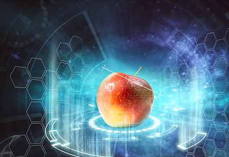 Can Technology Aid in Ensuring Food Safety and Authenticity?