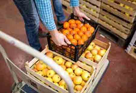 How Technology is Making Food Trackability Easier in the Supply Chain