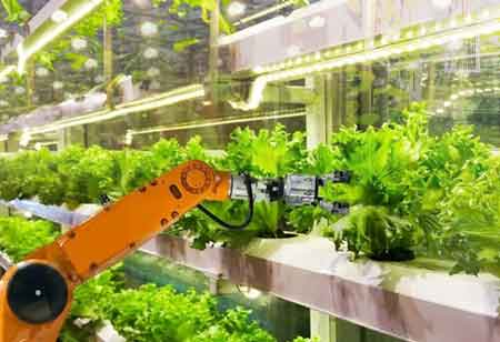 How Technology is Pushing the Food Safety Culture
