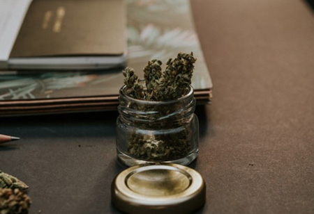 How Has Technology Molded the Cannabis Industry