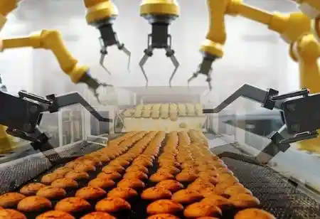 The Process of Food Automation in the Poultry Industry