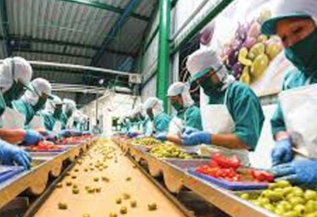 Developing a Strengthened Food Safety with Food Safety Management Software