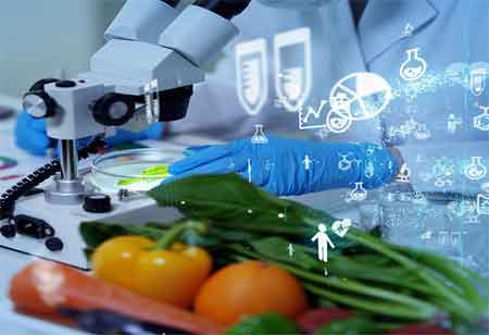 Why is it Critical to Have a Food Safety Management System?