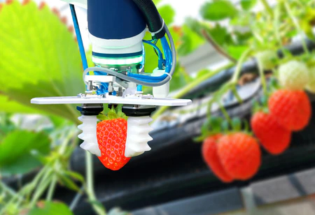 How Can Data Analytics be Used in the Food and Beverage Industry?