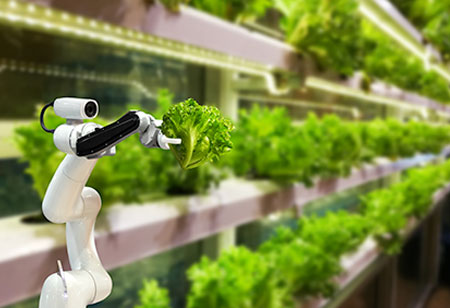 What is the Future of AI in Food and Beverage Industry?