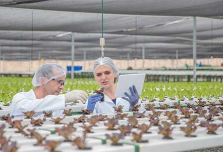 What Technologies are Helping Food Enterprises Improve Safety?