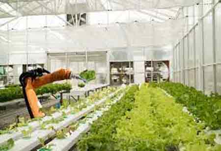 How Automating Enhances Food Production and Distribution