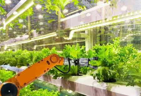 Reducing Food Safety Hazards through the Use of Technology
